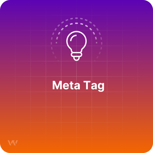 What is a Meta Tag?