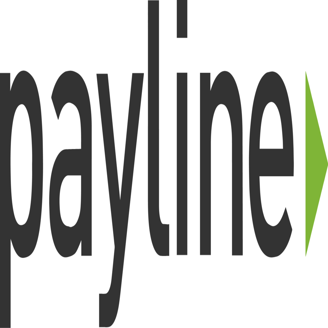 Payline logo